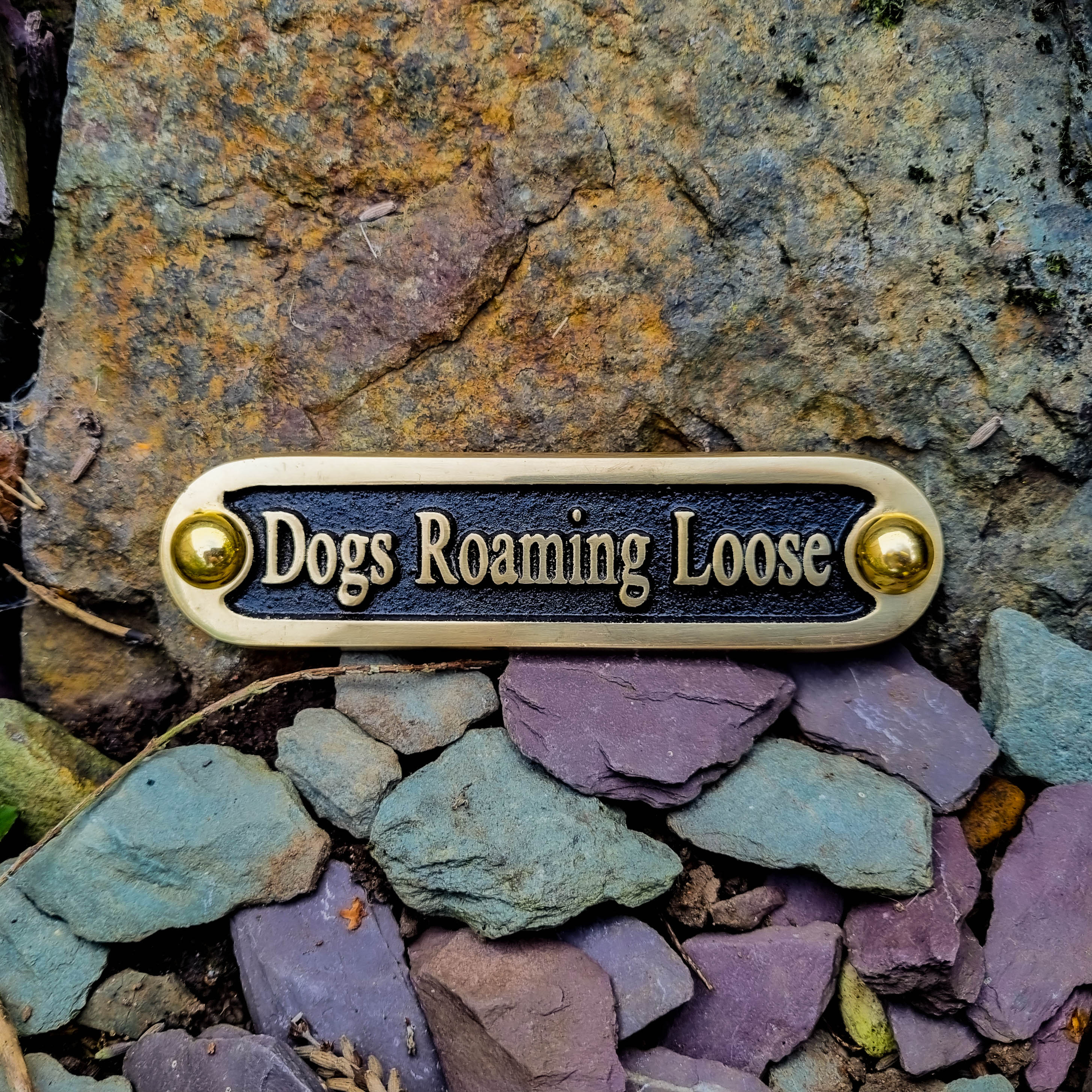 'Dogs Roaming Loose' Sign