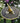 Golden 50th Anniversary Sundial Gift - The Metal Foundry